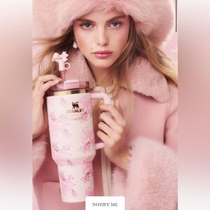 Loveshack Fancy x Stanley 40oz brand new! Sold out everywhere